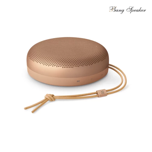 Beosound A1 Gen 3 (2025) - Hình ảnh 4